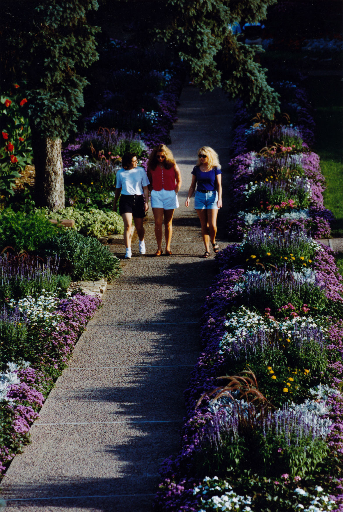 Sunken Gardens 1995